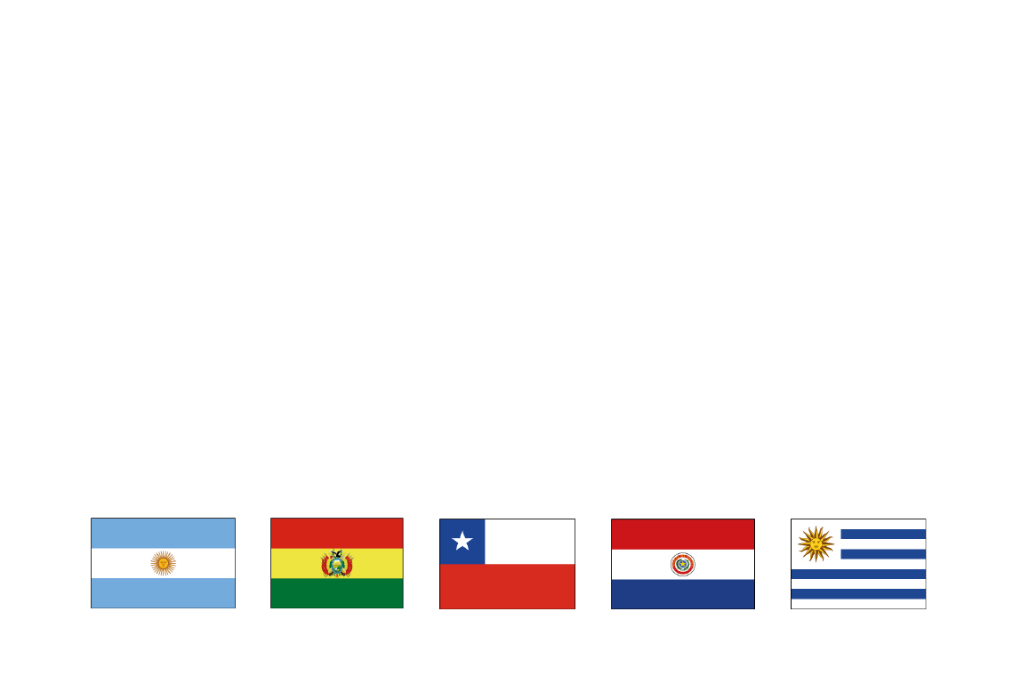 Grupo RSV